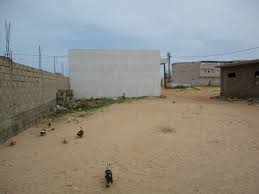 Terrain, Ferme