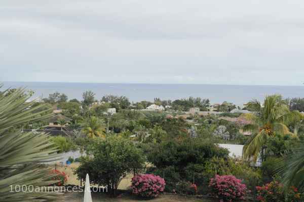 Services immobilier