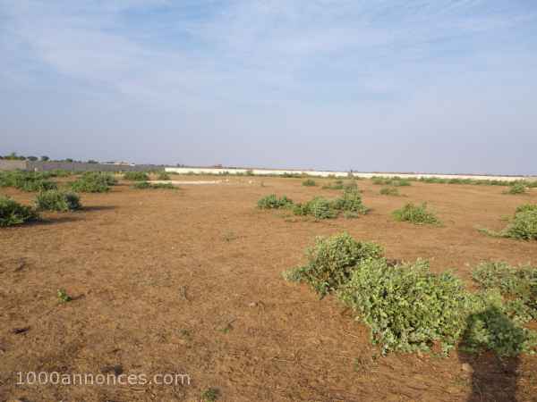 Terrain, Ferme