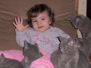 Chats