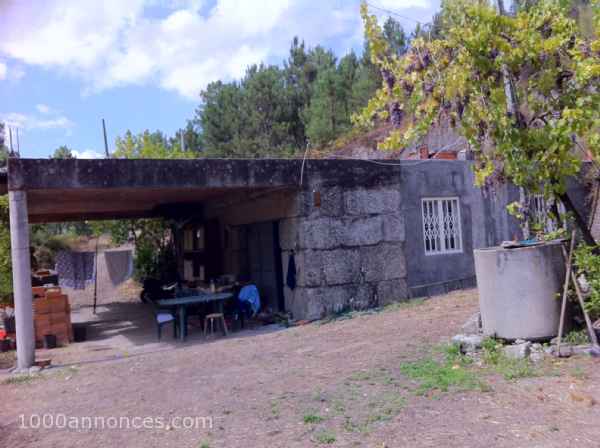 Terrain, Ferme
