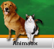 1000 annonces Monde categorie Animaux